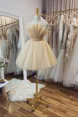 Fairy Dress, Cute Tulle Short Prom Dresses, A-Line Homecoming Party Dresses