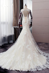 Wedding Dress Customizations, Autumn Long Sleevess Mermaid Lace appliques Ivory Wedding Dress