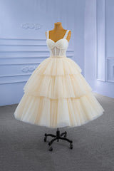 Prom Dresses Glitter, Champagne Tulle Short Prom Dress with Beaded, A-Line Tea Length Party Dress