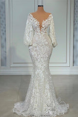Wedding Dress Country, Elegant Long Mermaid V-neck Tulle Lace Wedding Dress with Sleeves