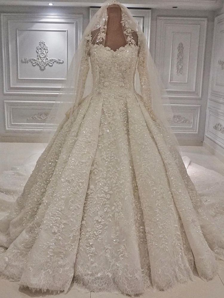 Wedding Dress Styles 2024, Expensive Lace Appliques Long Sleevess Ball Gown Wedding Dress