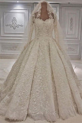 Wedding Dress Silhouettes Guide, Expensive Lace Appliques Long Sleevess Ball Gown Wedding Dress